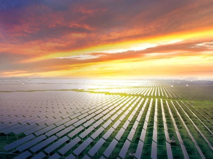 202MW Solar Fishing Plant, Tianjin China