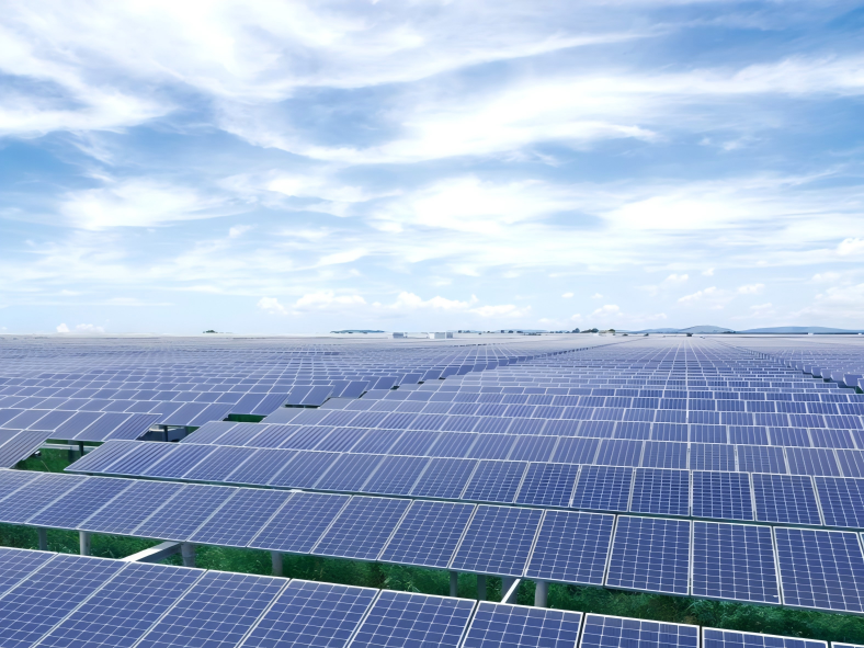 133MW Solar Fishing Plant, Tianjin China