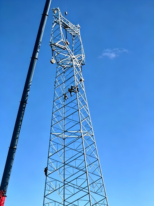 220 KV Transmission Power Towers Project in China