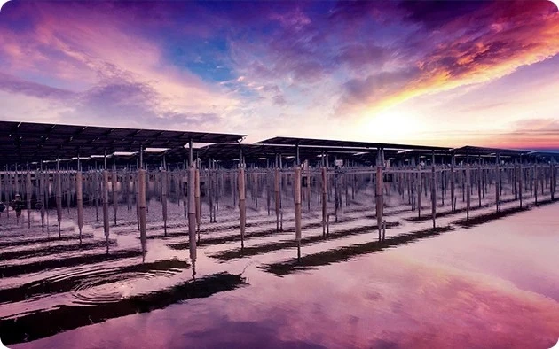 How to Select Fishery PV Mounting Structures for Freshwater and Coastal Sites